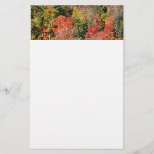 Papelaria Fall Hillside Colorter Autumn Nature Fotografia