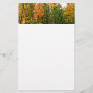 Papelaria Fall Maple Trees Autumn Nature Fotografia