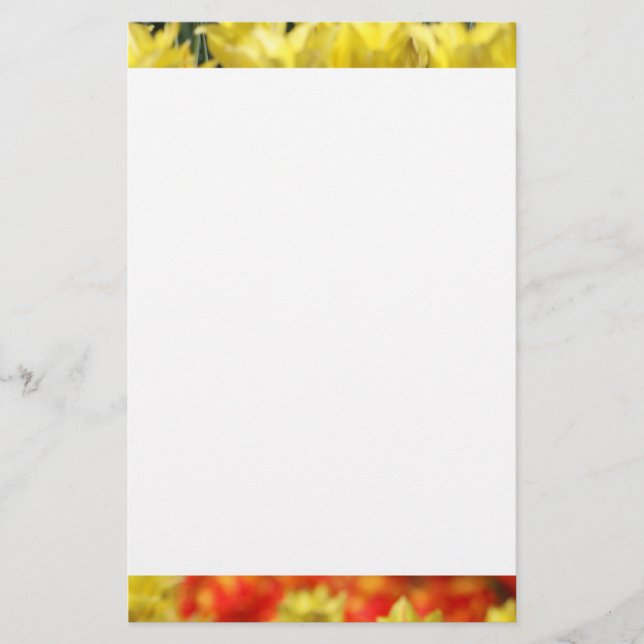 Papelaria Falln Floral Summer Glow (Frente)