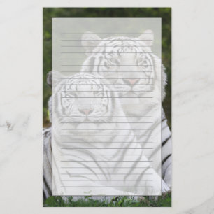 Papelaria Fase branca, tigre-de-bengala, Tigris