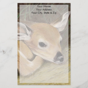 Papelaria Fawn