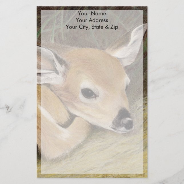 Papelaria Fawn (Frente)