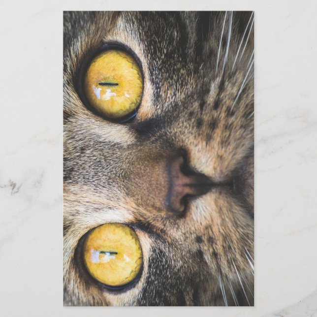 Papelaria Fechamento de Gato com Olhos Amarelos (Frente)