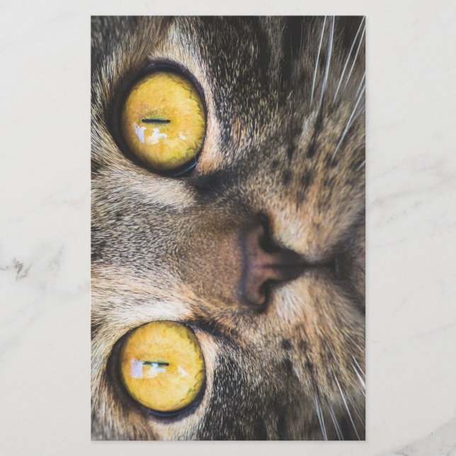 Papelaria Fechamento de Gato com Olhos Amarelos (Frente)