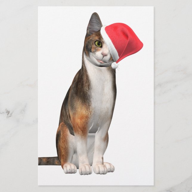 Papelaria Feliz Natal com um gato brincalhão num chapéu (Frente)