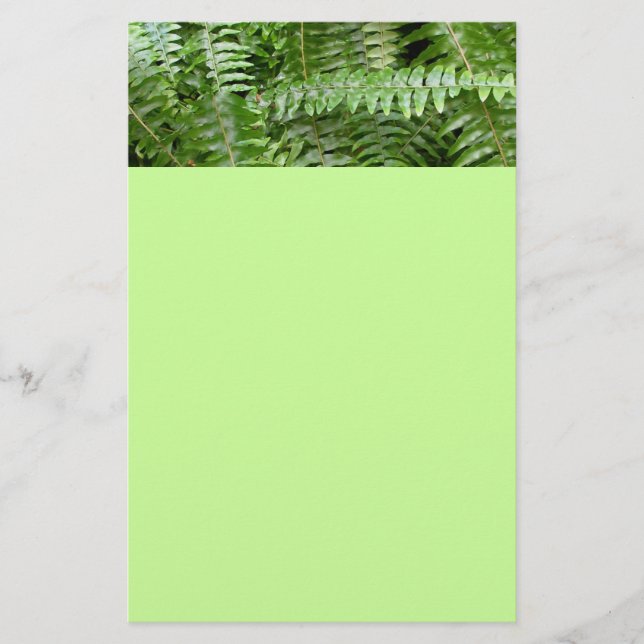 Papelaria Fern Frontes I Green Nature (Frente)