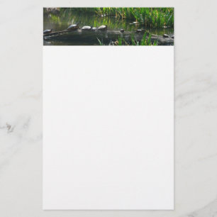 Papelaria Fileira de Tartarugas Foto Verde
