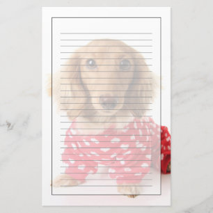Papelaria Filhote de cachorro do Dachshund que veste o