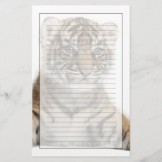 Papelaria Filhote de tigre de Sumatran (Frente)