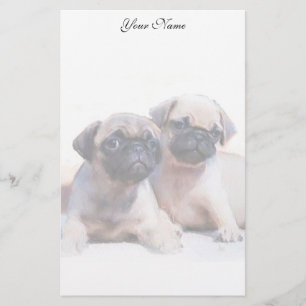 Papelaria Filhotes de cachorro do Pug estacionários