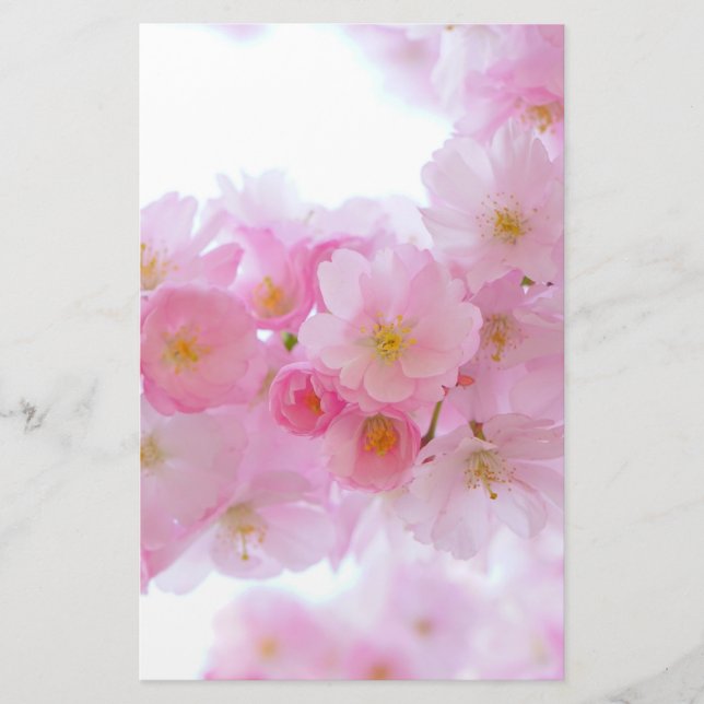 Papelaria Flor de árvore de cereja japonesa (Frente)