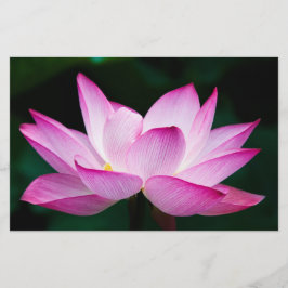 Papelaria Flor de Lotus Rosa