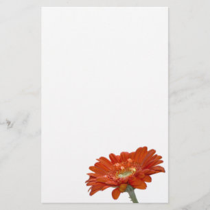 Papelaria Flor do Gerbera da margarida alaranjada