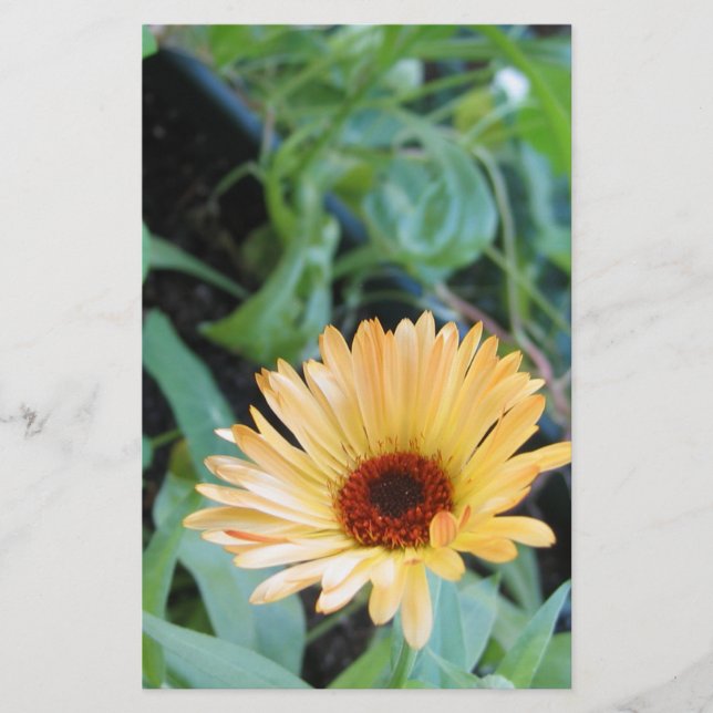 Papelaria Flor em Folhas Dois (Frente)