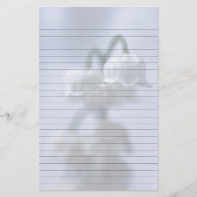 Papelaria Flor Lily Do Vale (Frente)