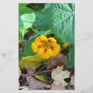 Papelaria Flor nas Folhas