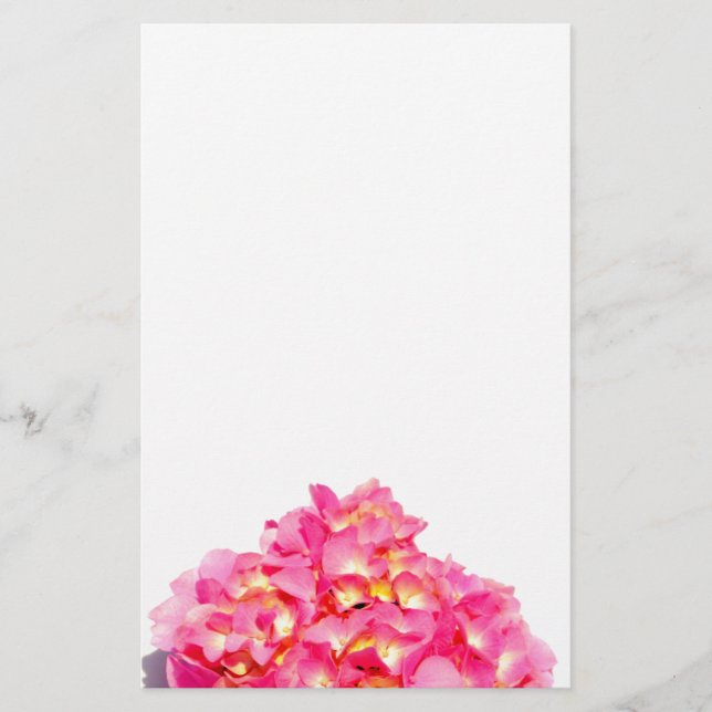 Papelaria Flor rosa-rosa-rosa-hidrangea-rosa (Frente)