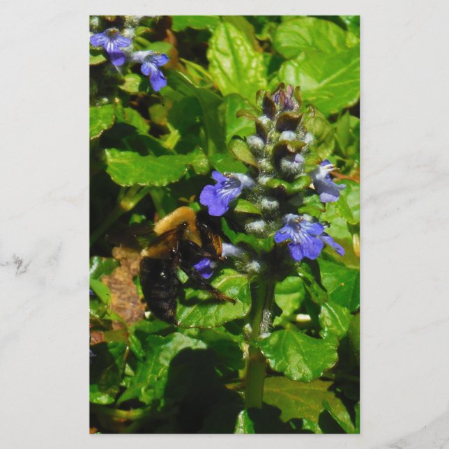 Papelaria Flor Roxo e Abelhas (Frente)