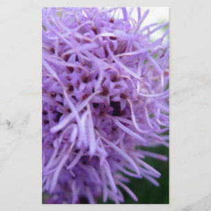 Papelaria Flor Violeta Tentacle Spider