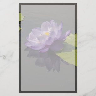 Papelaria Flor Waterlily Roxo Azul