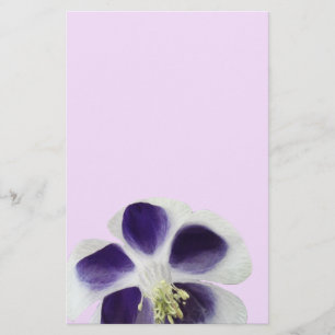 Papelaria Floral, Flor de roxa e branca