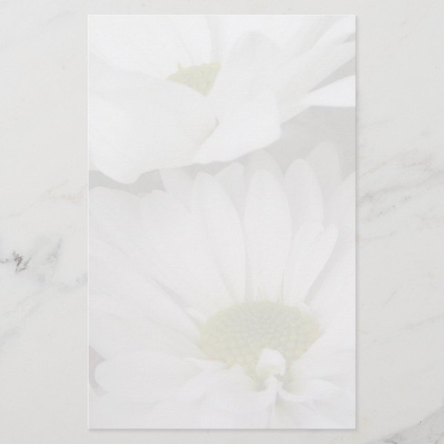 Papelaria Floral Margarida-Silenciado (Frente)