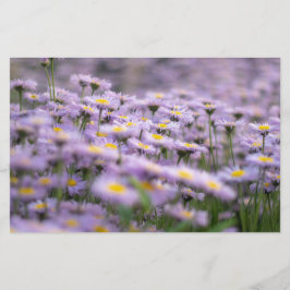 Papelaria Flores de Aster Roxo