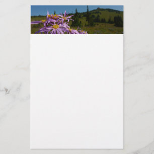 Papelaria Flores de Aster Roxo no Monte Rainier