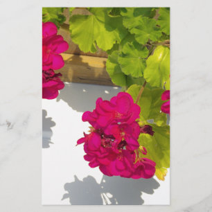 Papelaria Flores florais vermelhos magenta, cor-de-rosa, ele