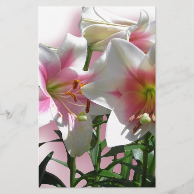 Papelaria Flores Fogem Festa de Chá de Amor Primavera (Frente)