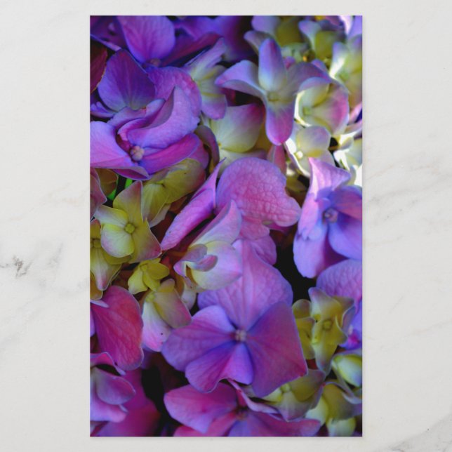Papelaria Flores magenta púrpura amarelas Hydrangas (Frente)