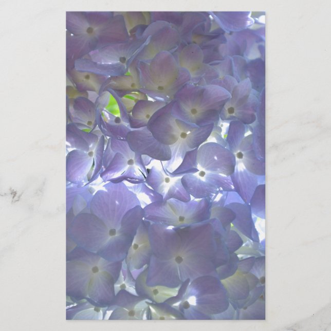 Papelaria Flores roxas roxas, poeiras, empoeiradas (Frente)