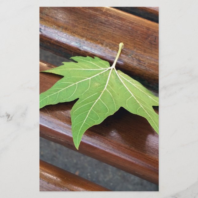 Papelaria folha caída (Frente)