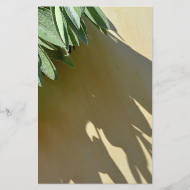 Papelaria Folhas botânicas verdes Elegantes Plantas aromátic (Frente)