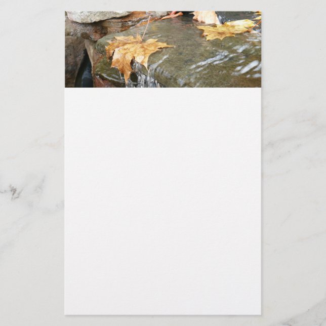 Papelaria Folhas de outono em Fotografia do outono II em Wat (Frente)