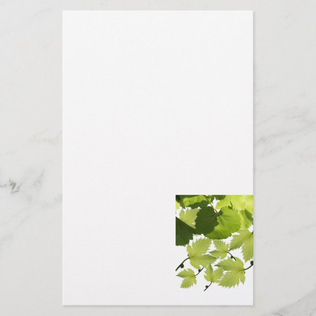 Papelaria Folhas Verdes de Videira (Frente)