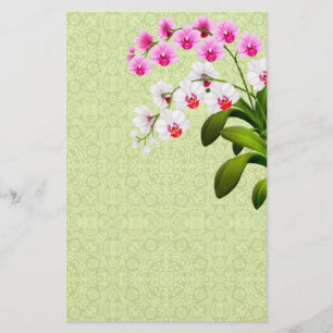 Papelaria Folheto Branco Rosa Phalaenopsis Orquídeas
