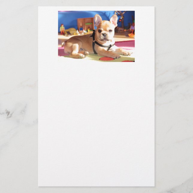 Papelaria French Bulldog süßer Welpe (Frente)