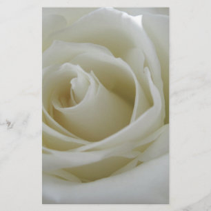 Papelaria Fulgor floral