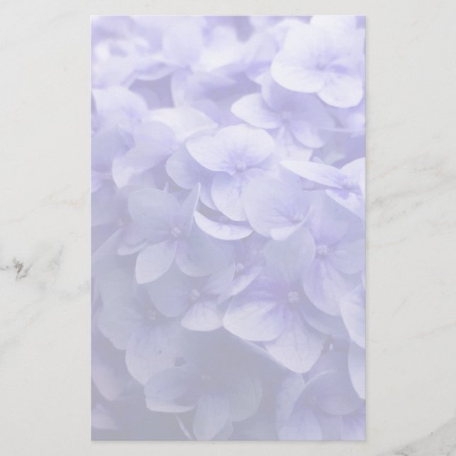 Papelaria Fundo de flor branco Hydrangea (Frente)