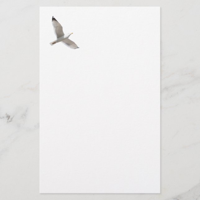 Papelaria Gaivota (Frente)