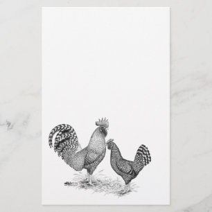 Papelaria Galo de Cinzas da Califórnia e Hen