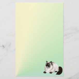Papelaria Gatinho 2 Himalaia Papel de carta
