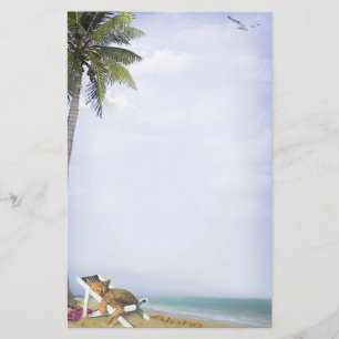 Papelaria Gatinho da praia