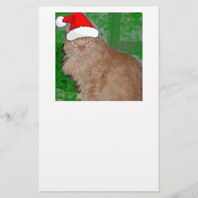 Papelaria Gatinho Laranja de Natal Feliz (Frente)
