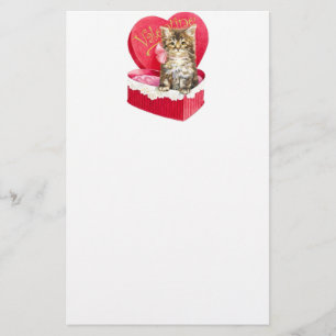 Papelaria Gatinho na caixa de doces