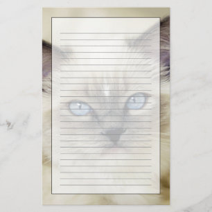 Papelaria Gatinho Ragdoll