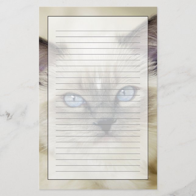 Papelaria Gatinho Ragdoll (Frente)