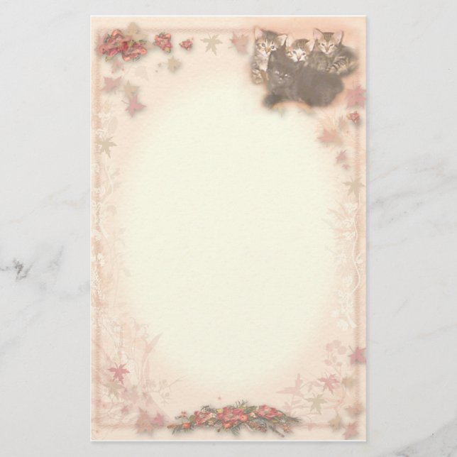 Papelaria Gatinhos (Frente)