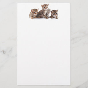 Papelaria Gatinhos e mais gatinhos